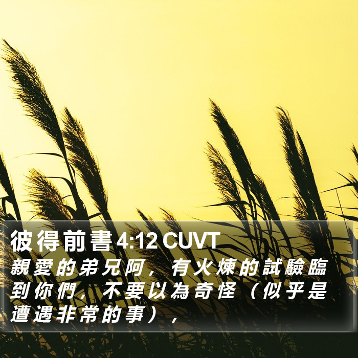彼 得 前 書 4:12 CUVT Bible Study
