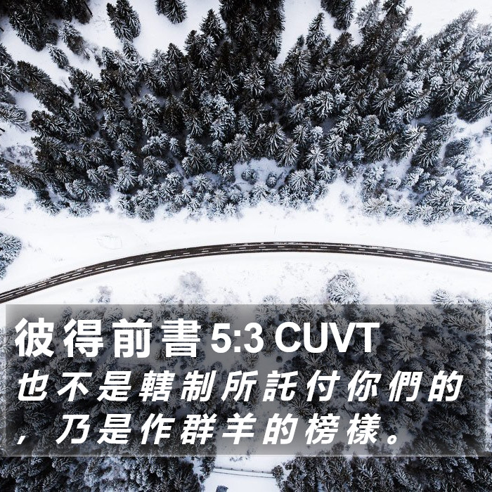 彼 得 前 書 5:3 CUVT Bible Study