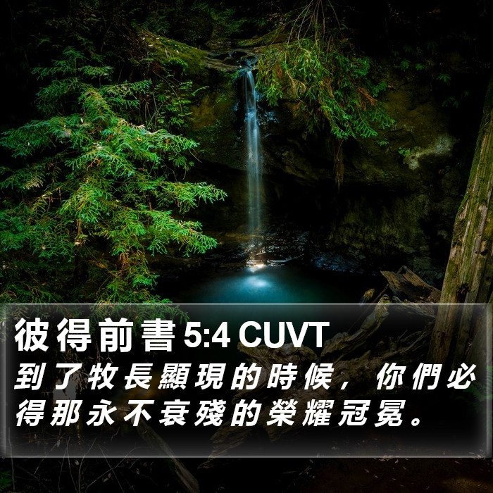 彼 得 前 書 5:4 CUVT Bible Study