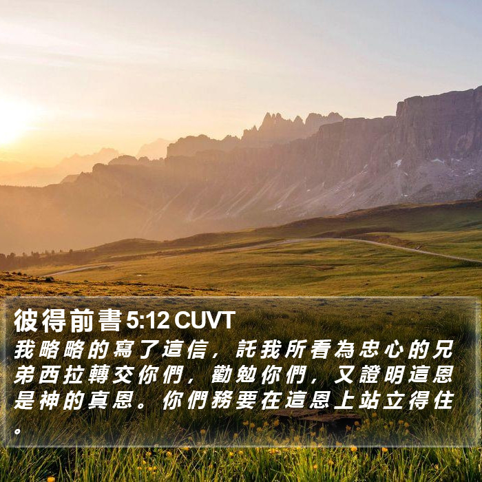 彼 得 前 書 5:12 CUVT Bible Study