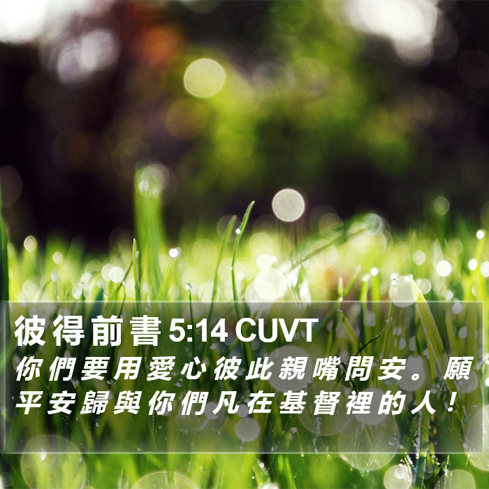 彼 得 前 書 5:14 CUVT Bible Study