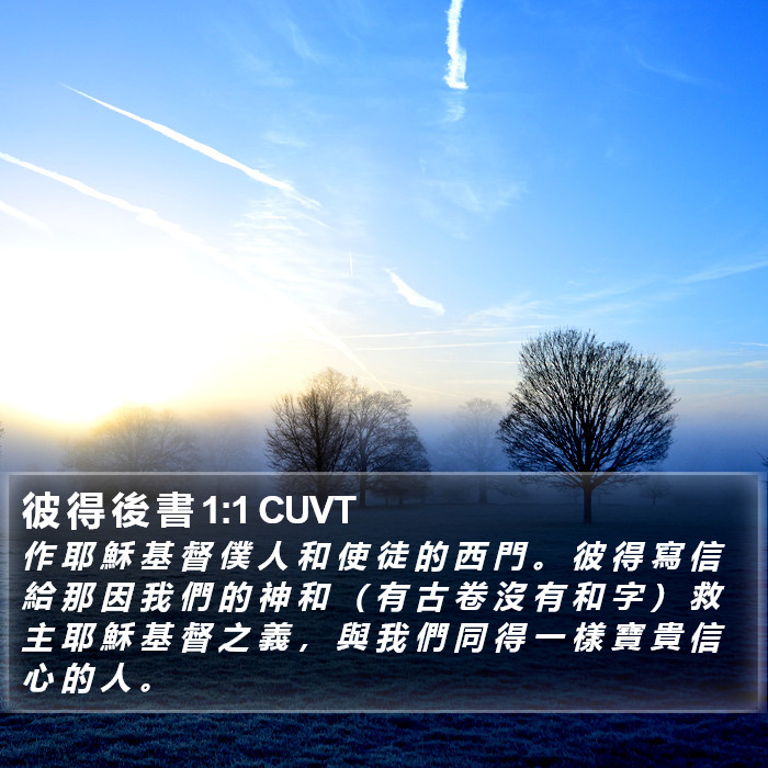 彼 得 後 書 1:1 CUVT Bible Study