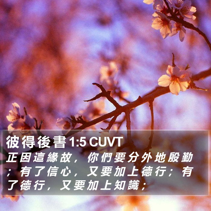 彼 得 後 書 1:5 CUVT Bible Study