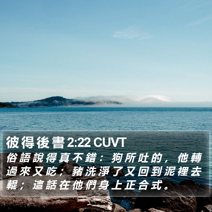 彼 得 後 書 2:22 CUVT Bible Study