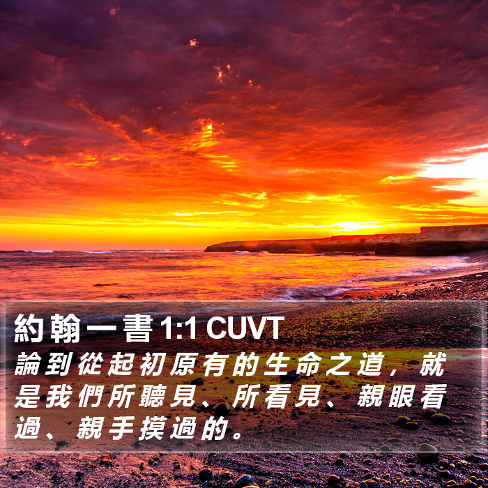 約 翰 一 書 1:1 CUVT Bible Study