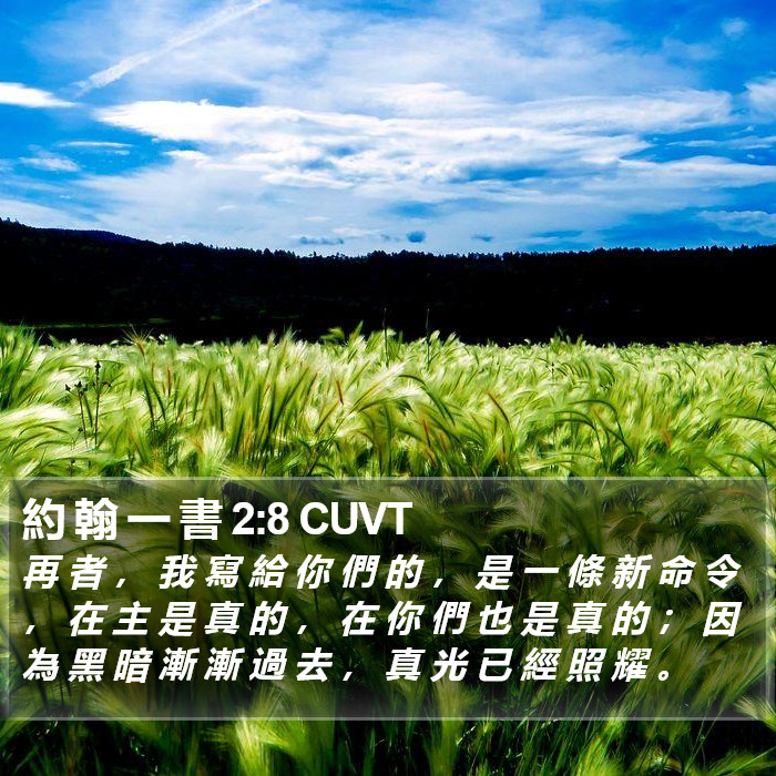 約 翰 一 書 2:8 CUVT Bible Study