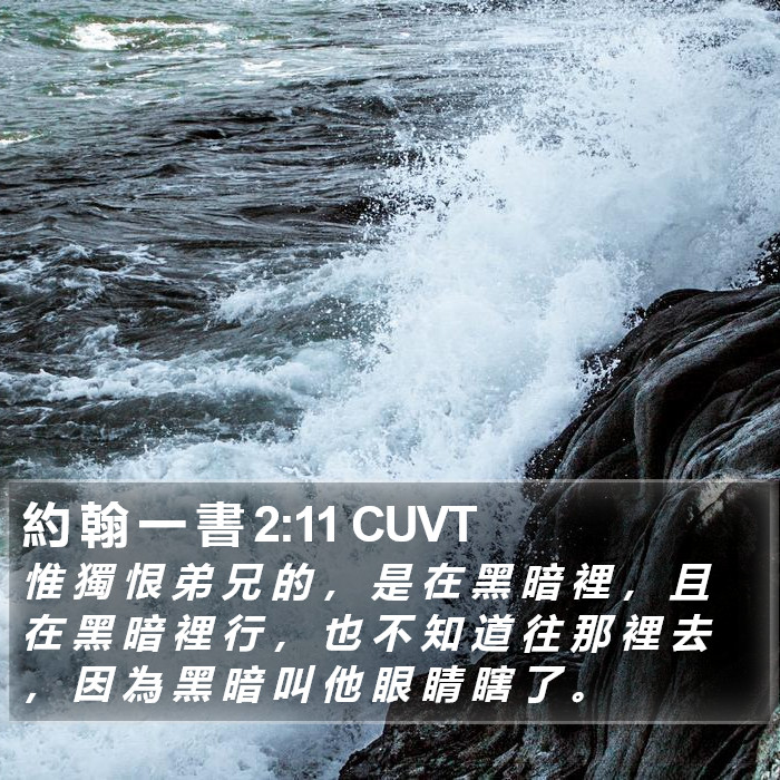 約 翰 一 書 2:11 CUVT Bible Study