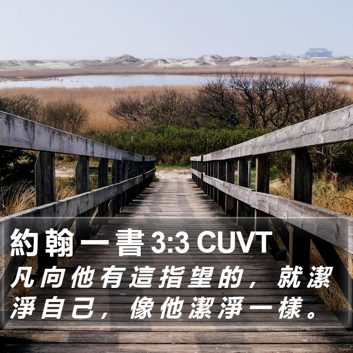 約 翰 一 書 3:3 CUVT Bible Study