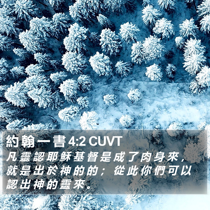 約 翰 一 書 4:2 CUVT Bible Study