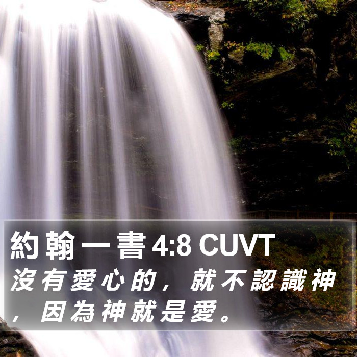 約 翰 一 書 4:8 CUVT Bible Study