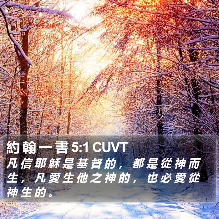 約 翰 一 書 5:1 CUVT Bible Study