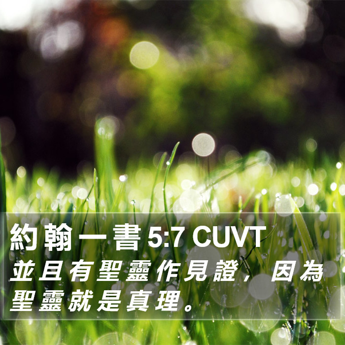 約 翰 一 書 5:7 CUVT Bible Study