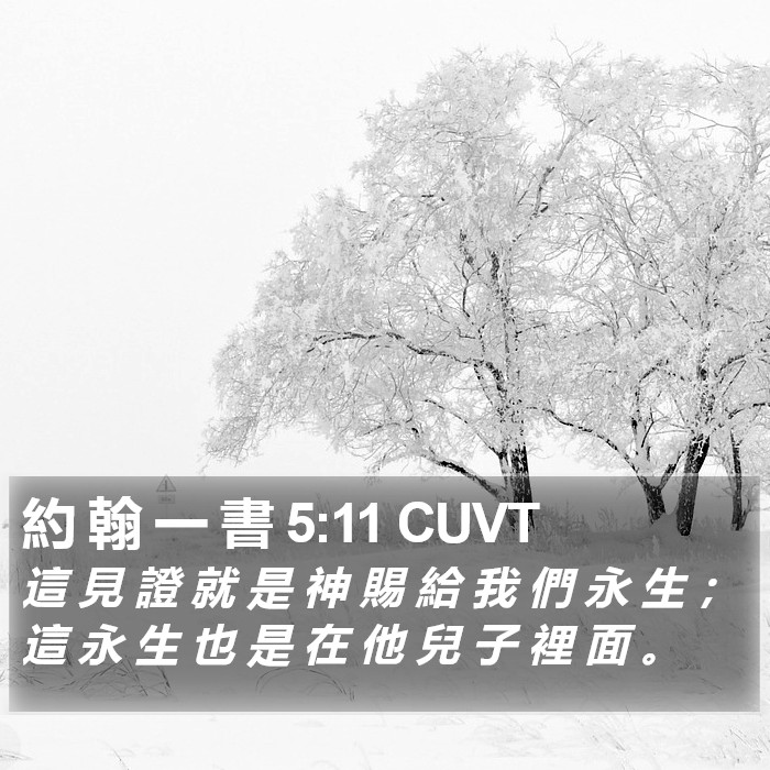 約 翰 一 書 5:11 CUVT Bible Study