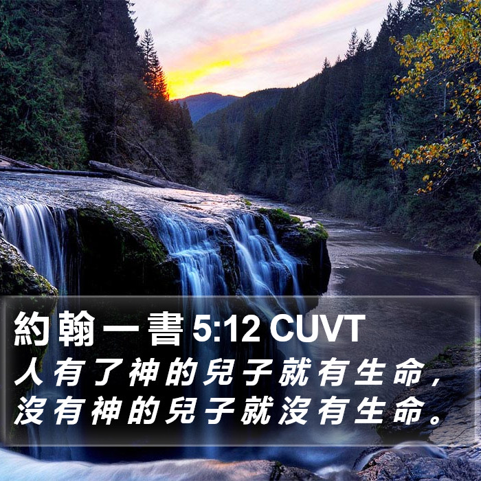 約 翰 一 書 5:12 CUVT Bible Study