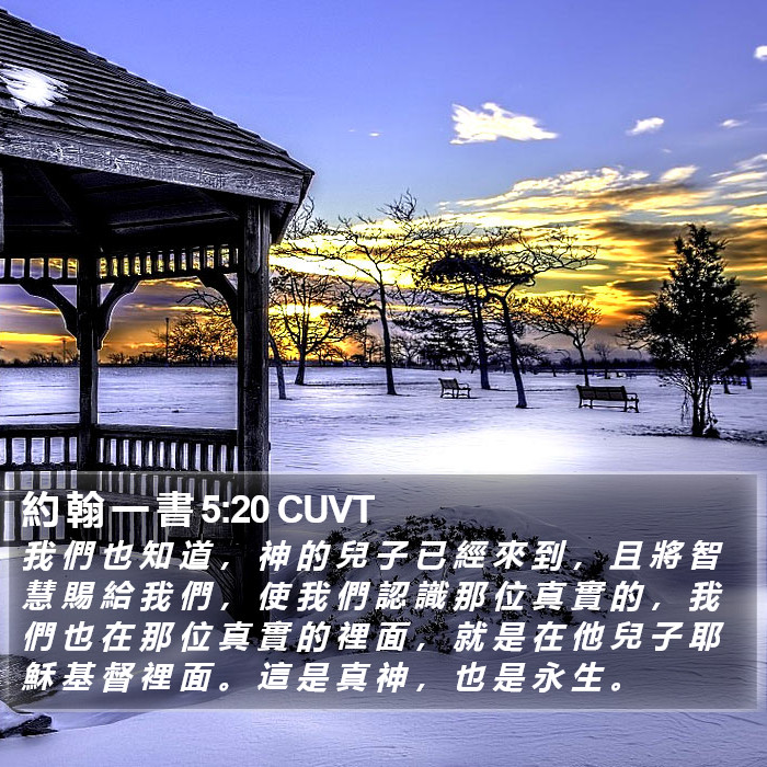 約 翰 一 書 5:20 CUVT Bible Study