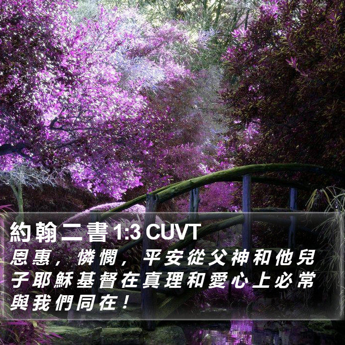 約 翰 二 書 1:3 CUVT Bible Study