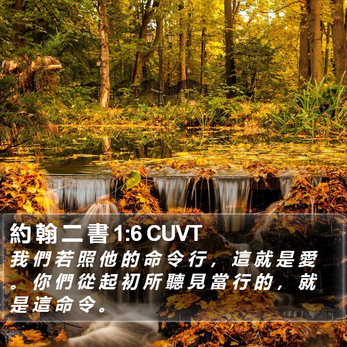 約 翰 二 書 1:6 CUVT Bible Study