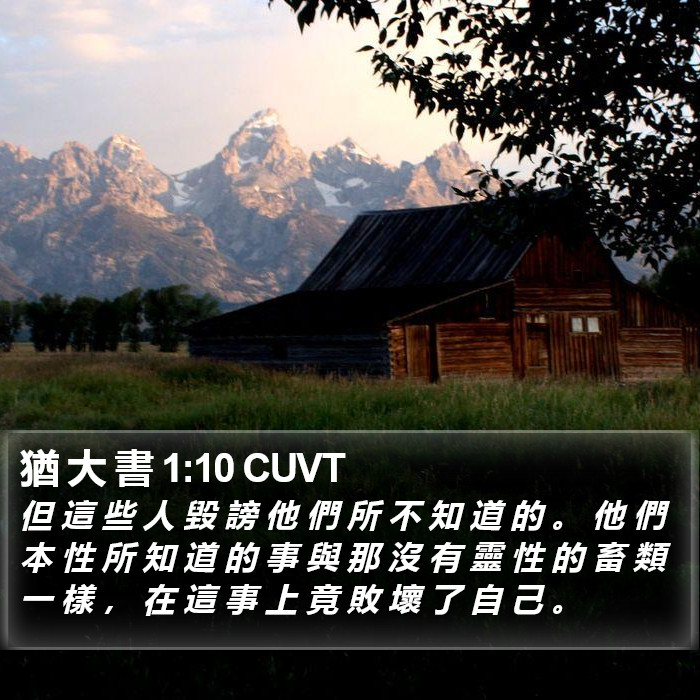 猶 大 書 1:10 CUVT Bible Study