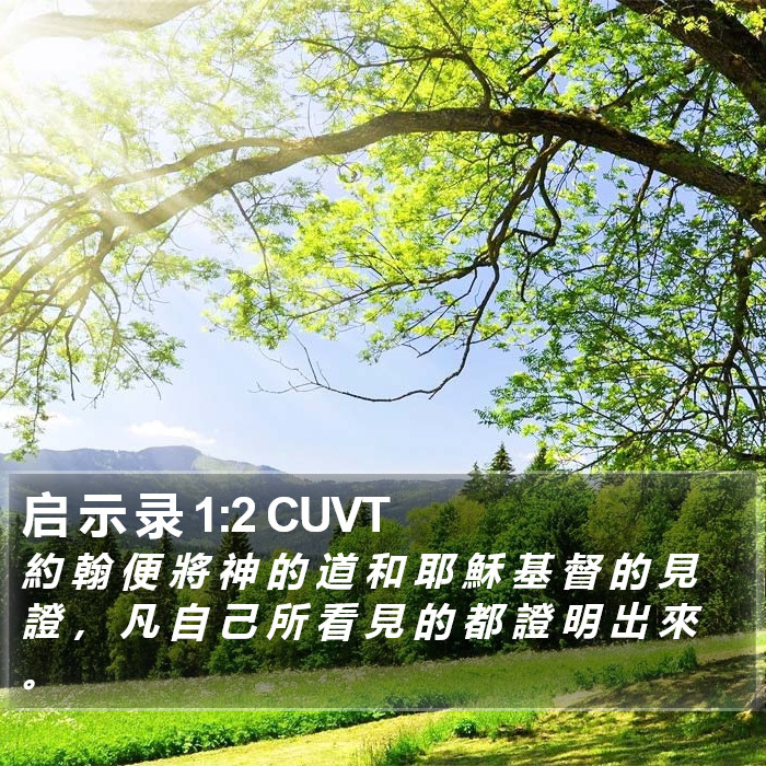 启 示 录 1:2 CUVT Bible Study