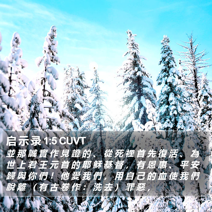 启 示 录 1:5 CUVT Bible Study