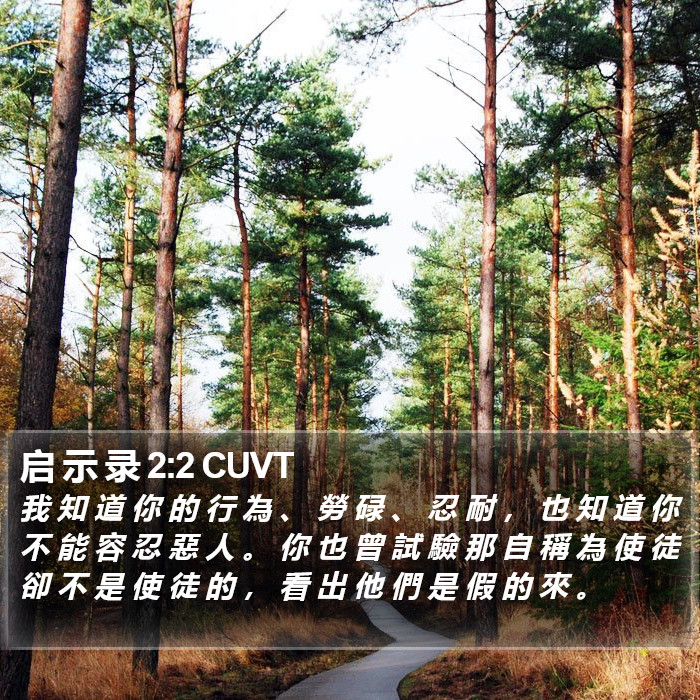 启 示 录 2:2 CUVT Bible Study