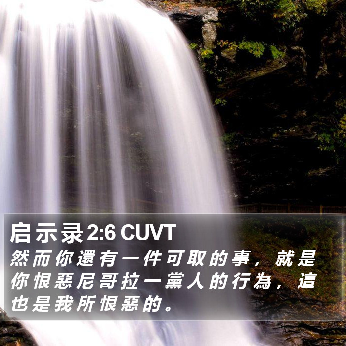 启 示 录 2:6 CUVT Bible Study