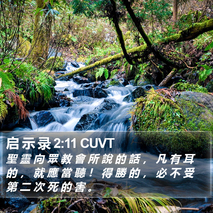 启 示 录 2:11 CUVT Bible Study