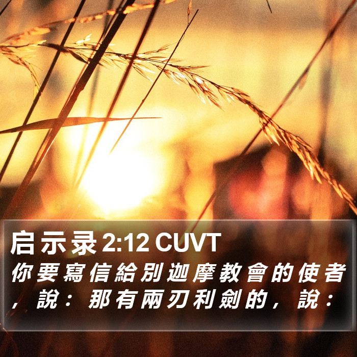 启 示 录 2:12 CUVT Bible Study