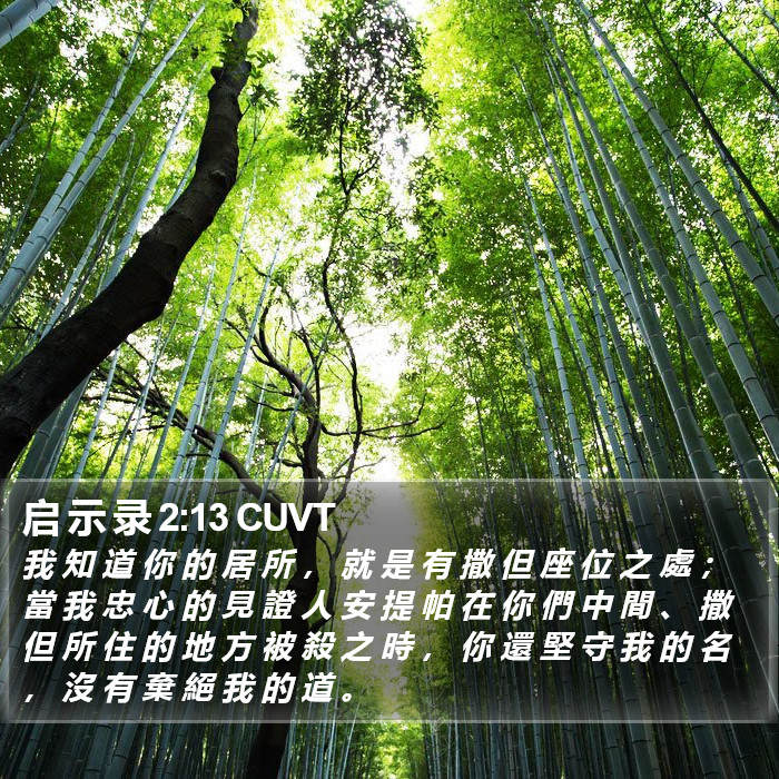 启 示 录 2:13 CUVT Bible Study