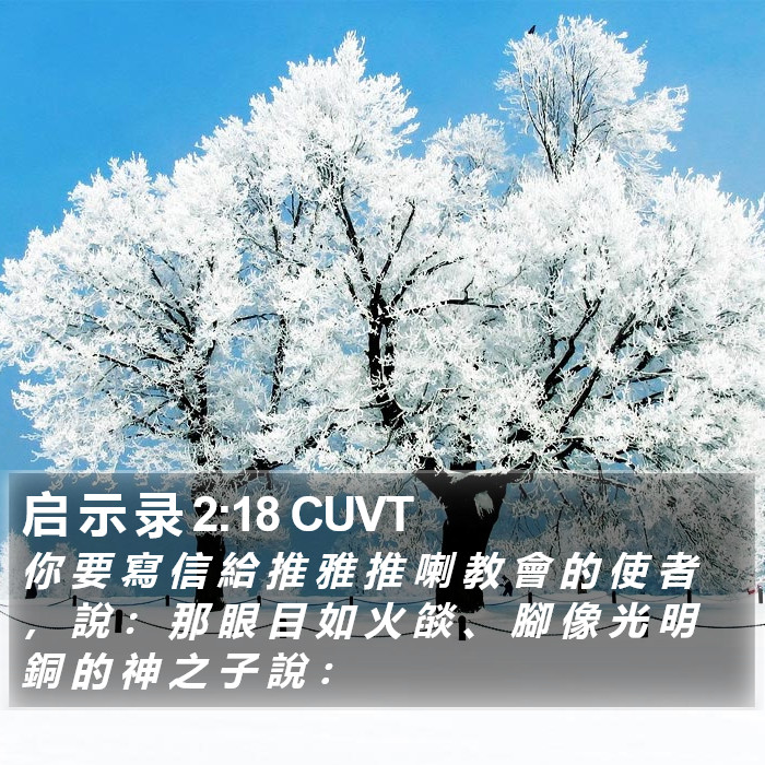 启 示 录 2:18 CUVT Bible Study