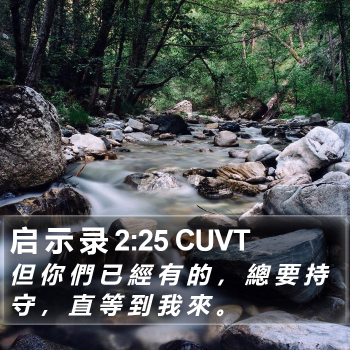 启 示 录 2:25 CUVT Bible Study