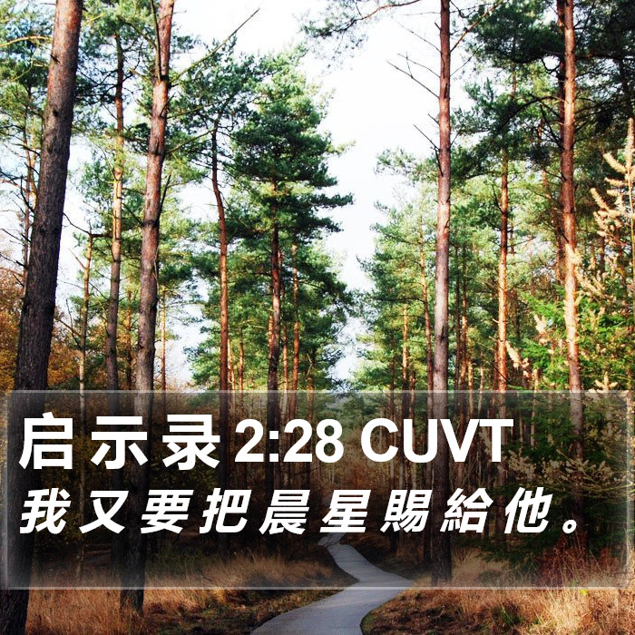 启 示 录 2:28 CUVT Bible Study