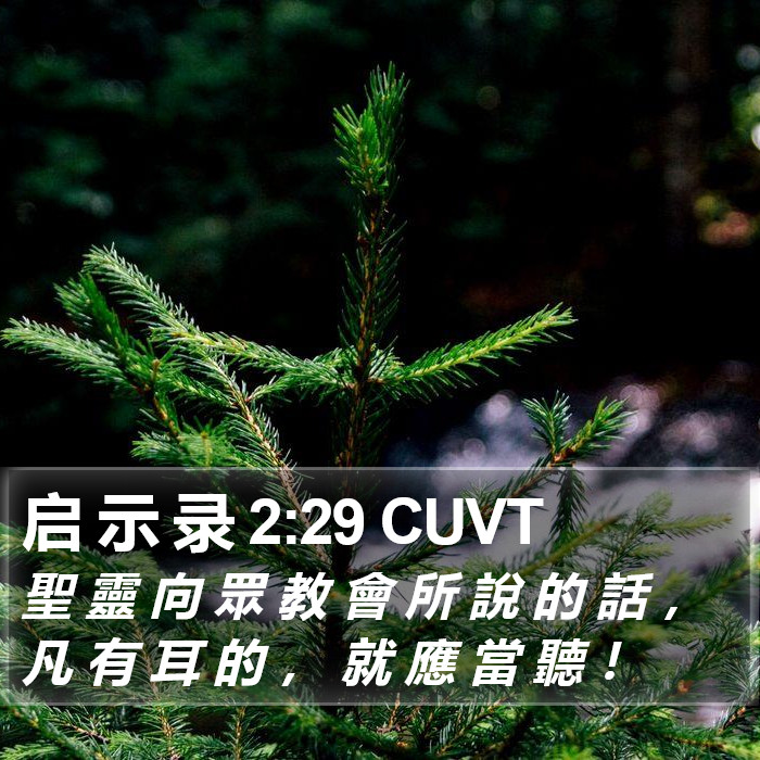 启 示 录 2:29 CUVT Bible Study
