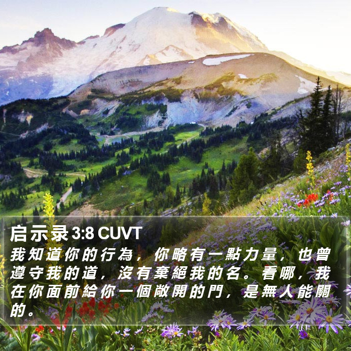 启 示 录 3:8 CUVT Bible Study