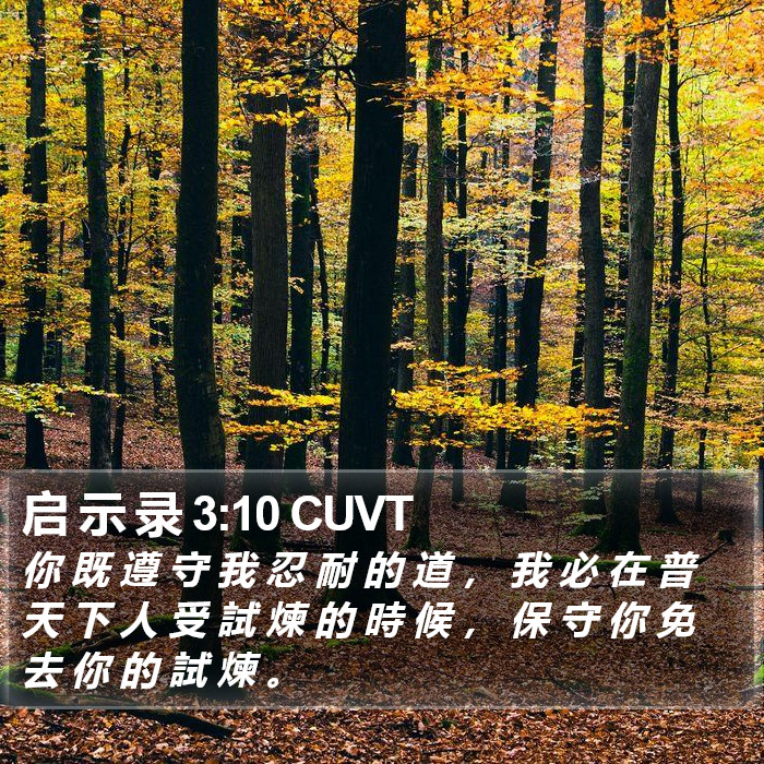 启 示 录 3:10 CUVT Bible Study