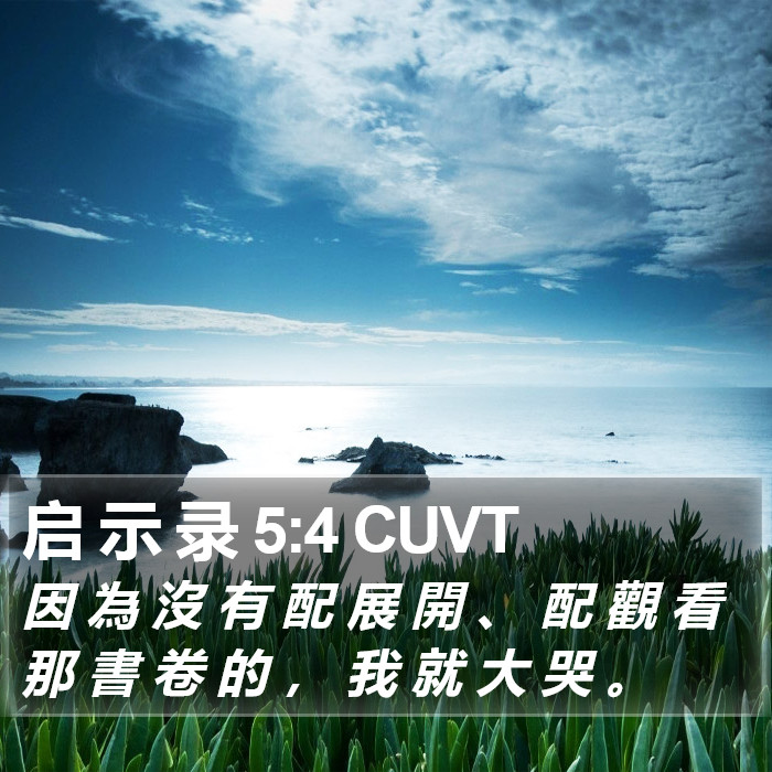 启 示 录 5:4 CUVT Bible Study