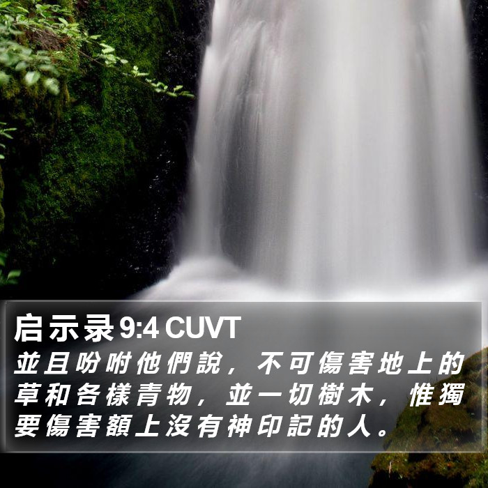 启 示 录 9:4 CUVT Bible Study