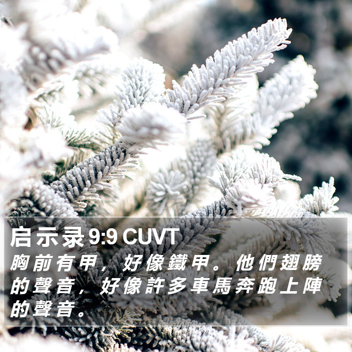 启 示 录 9:9 CUVT Bible Study