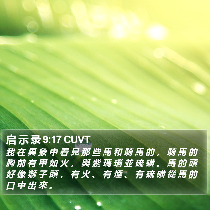 启 示 录 9:17 CUVT Bible Study