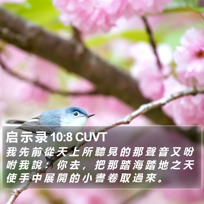 启 示 录 10:8 CUVT Bible Study