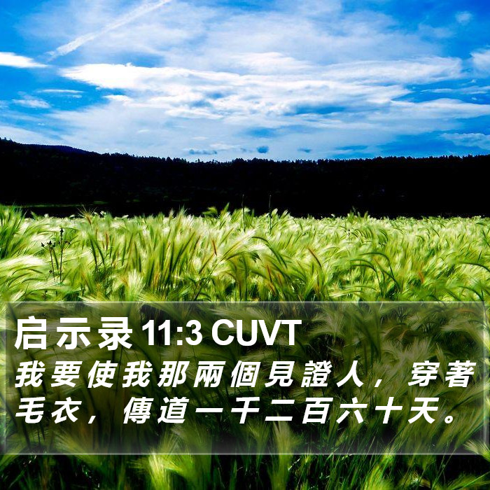启 示 录 11:3 CUVT Bible Study
