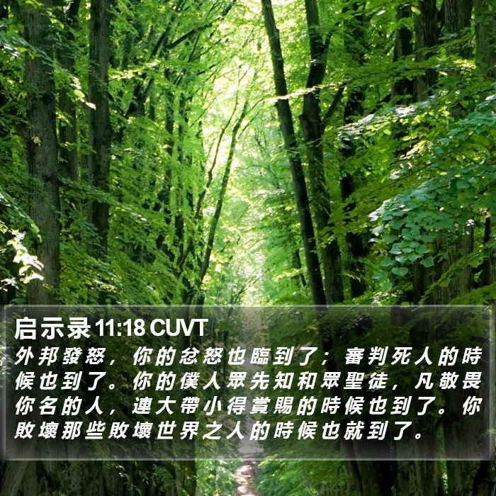 启 示 录 11:18 CUVT Bible Study
