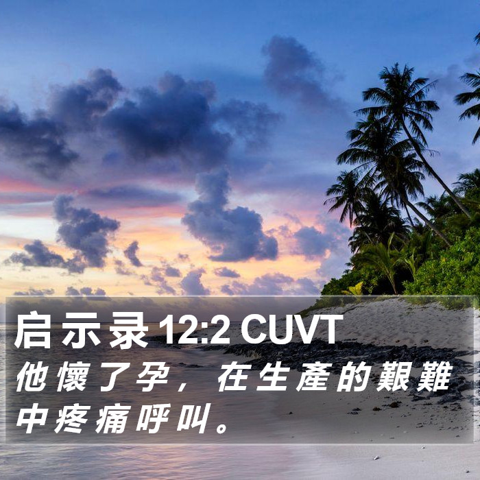 启 示 录 12:2 CUVT Bible Study