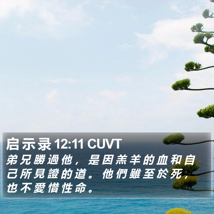 启 示 录 12:11 CUVT Bible Study