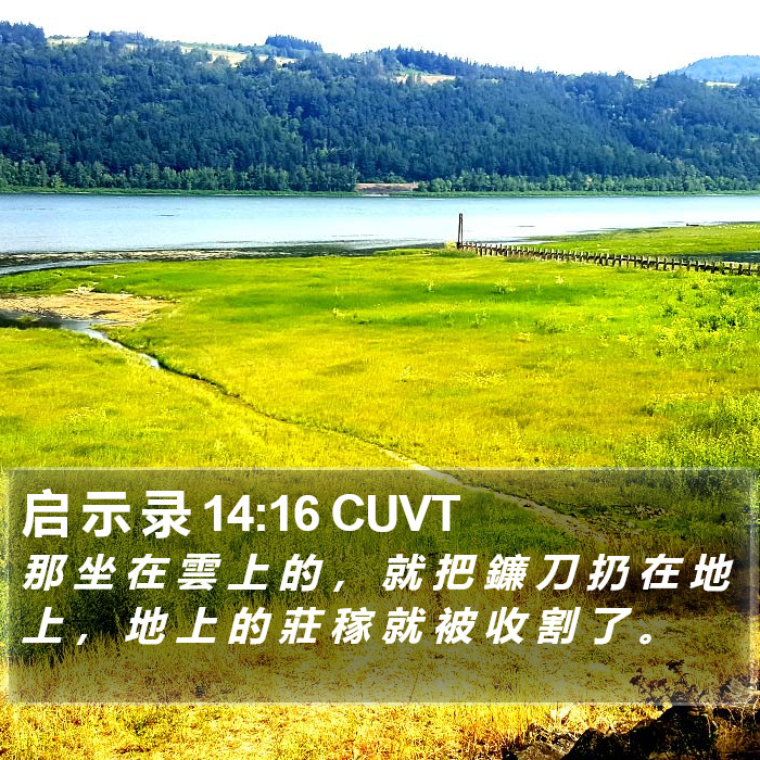 启 示 录 14:16 CUVT Bible Study
