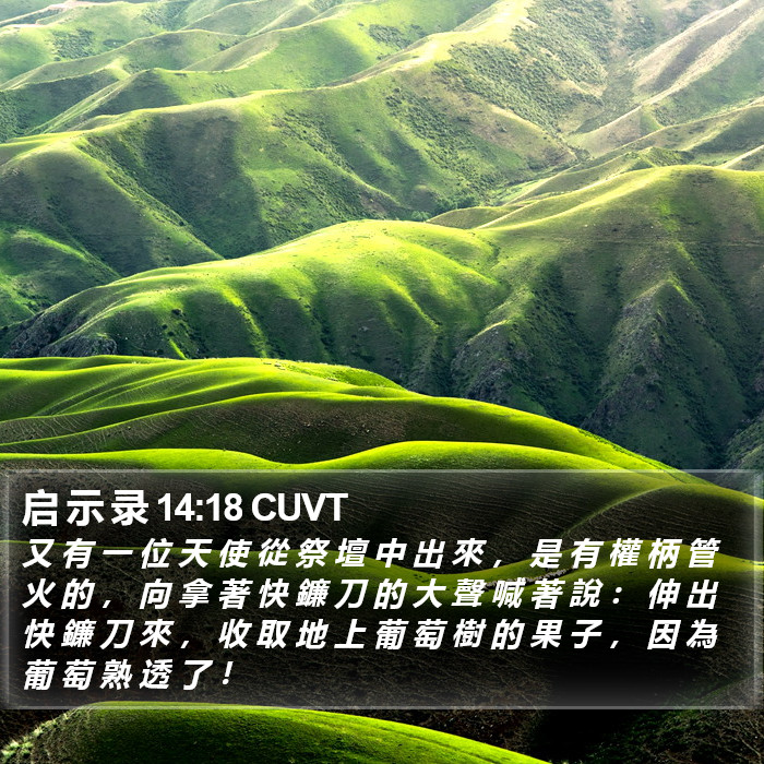 启 示 录 14:18 CUVT Bible Study