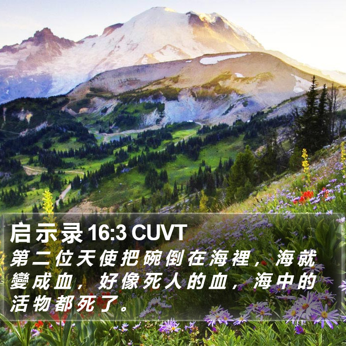 启 示 录 16:3 CUVT Bible Study