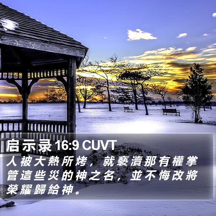 启 示 录 16:9 CUVT Bible Study