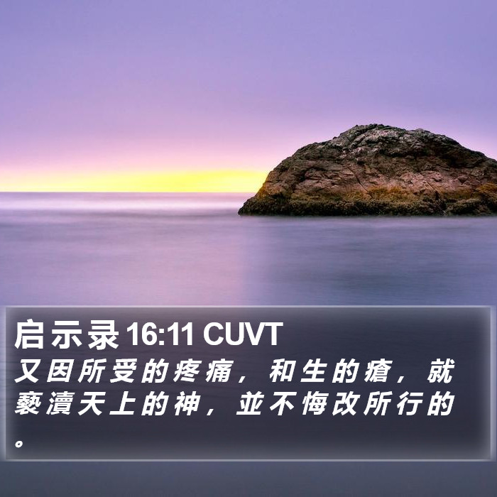 启 示 录 16:11 CUVT Bible Study