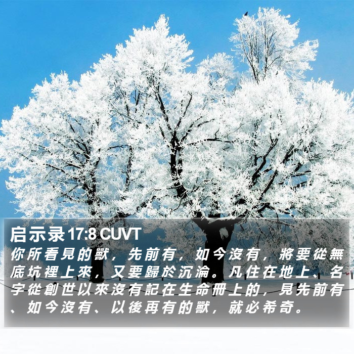 启 示 录 17:8 CUVT Bible Study